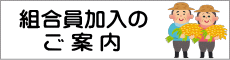 組合員加入のご案内