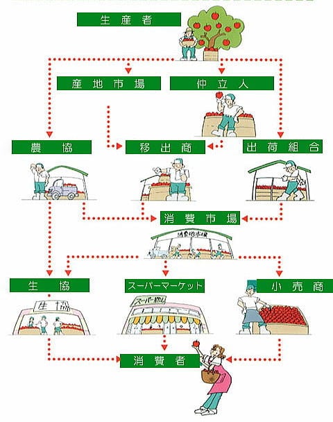 りんごの流通経路